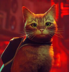 Stray Cat (Stray)